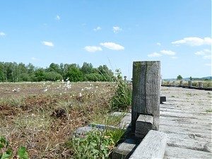 Moorweg aus anderem Blickwinkel